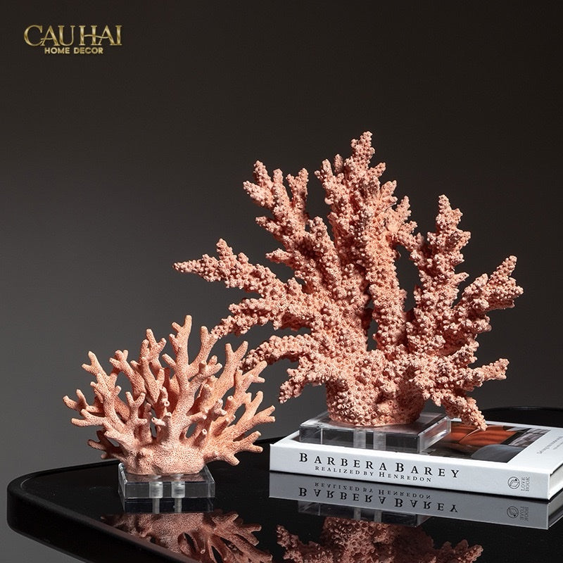 HOME COUTURE - TƯỢNG SAN HÔ ASHEN TERRA CORALLIA - CẬU HAI HOME DECOR